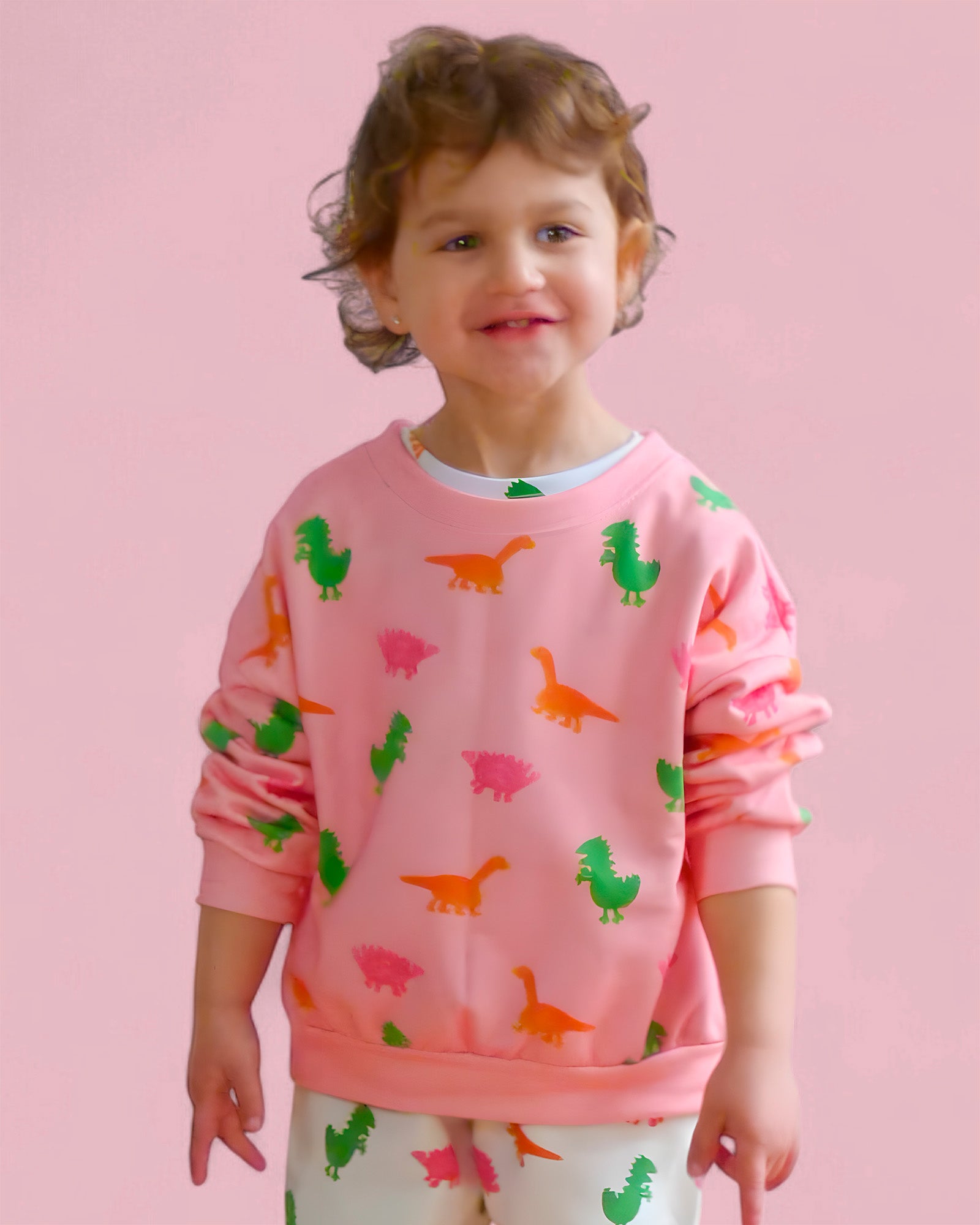 Sudadera Dinosaurios