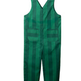 Peto rayas verdes